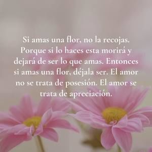 Meet your Posher, Luisa